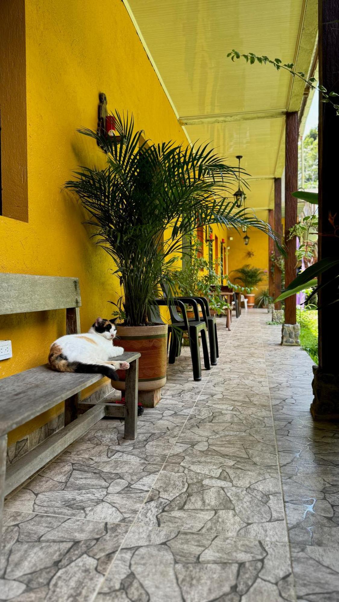 Posada Turistica Rocas De Cabo Marzo Bahia Solano Exterior foto